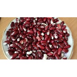 Квасоля Червона Шапочка